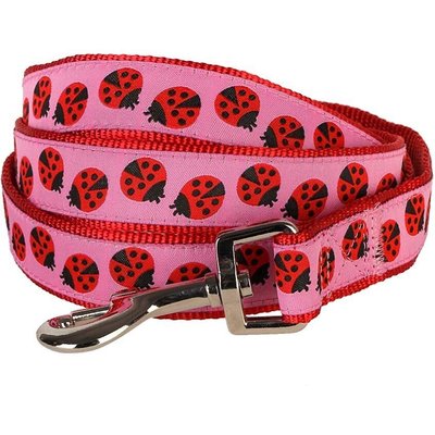 Blueberry Pet Blueberry Pet Spring Prints Nylon Dog Leash, Ladybug, Medium: 5-ft long, 3/4-in wide