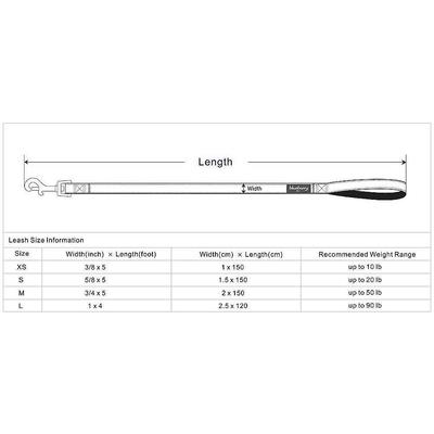 Show full view: Blueberry Pet Spring Prints Nylon Dog Leash, Ladybug, Medium: 5-ft long, 3/4-in wide slide 4 of 6