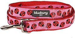 Blueberry Pet Spring Prints Nylon Dog Leash, Ladybug, Small: 5-ft long, 5/8-in wide slide 2 of 4
