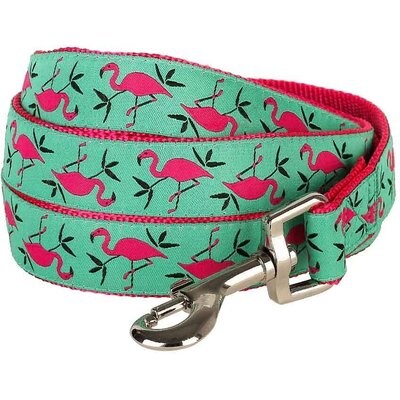Blueberry Pet Blueberry Pet Spring Prints Nylon Dog Leash, Pink Flamingo on Light Emerald, X-Small: 5-ft long, 3/8-in wide