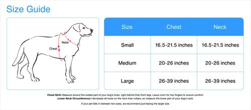 Show full view: Blueberry Pet Spring Prints Nylon Step In Back Clip Dog Harness, Ladybug, Large: 26 to 39-in chest slide 2 of 9