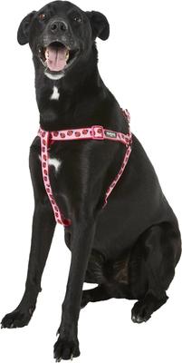 Show full view: Blueberry Pet Spring Prints Nylon Step In Back Clip Dog Harness, Ladybug, Large: 26 to 39-in chest slide 3 of 9