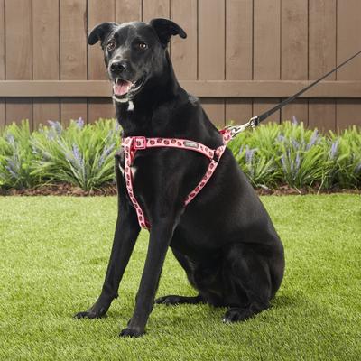 Show full view: Blueberry Pet Spring Prints Nylon Step In Back Clip Dog Harness, Ladybug, Large: 26 to 39-in chest slide 5 of 9