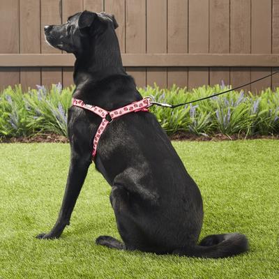 Show full view: Blueberry Pet Spring Prints Nylon Step In Back Clip Dog Harness, Ladybug, Large: 26 to 39-in chest slide 6 of 9