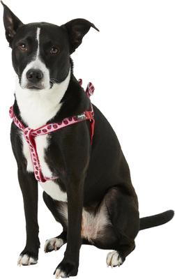 Show full view: Blueberry Pet Spring Prints Nylon Step In Back Clip Dog Harness, Ladybug, Medium: 20 to 26-in chest slide 4 of 10