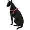 Show in main carousel: Blueberry Pet Spring Prints Nylon Step In Back Clip Dog Harness, Ladybug, Medium: 20 to 26-in chest slide 5 of 10