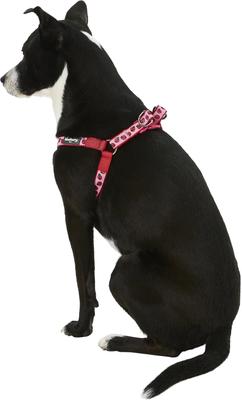 Show full view: Blueberry Pet Spring Prints Nylon Step In Back Clip Dog Harness, Ladybug, Medium: 20 to 26-in chest slide 5 of 10