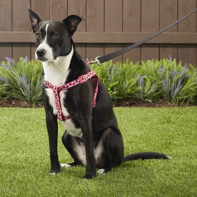 Show full view: Blueberry Pet Spring Prints Nylon Step In Back Clip Dog Harness, Ladybug, Medium: 20 to 26-in chest slide 6 of 10