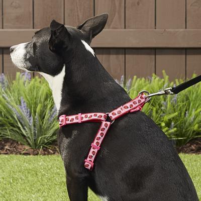 Show full view: Blueberry Pet Spring Prints Nylon Step In Back Clip Dog Harness, Ladybug, Medium: 20 to 26-in chest slide 7 of 10