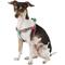 Show in main carousel: Blueberry Pet Spring Prints Nylon Step In Back Clip Dog Harness, Pink Flamingo on Light Emerald, Small: 16.5 to 21.5-in chest slide 3 of 9