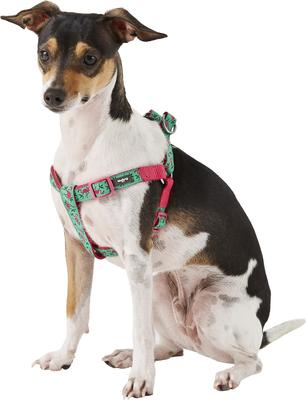 Show full view: Blueberry Pet Spring Prints Nylon Step In Back Clip Dog Harness, Pink Flamingo on Light Emerald, Small: 16.5 to 21.5-in chest slide 3 of 9
