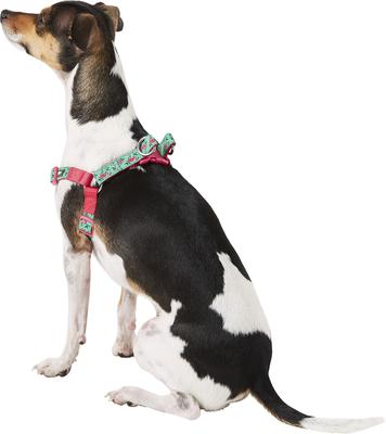 Show full view: Blueberry Pet Spring Prints Nylon Step In Back Clip Dog Harness, Pink Flamingo on Light Emerald, Small: 16.5 to 21.5-in chest slide 4 of 9