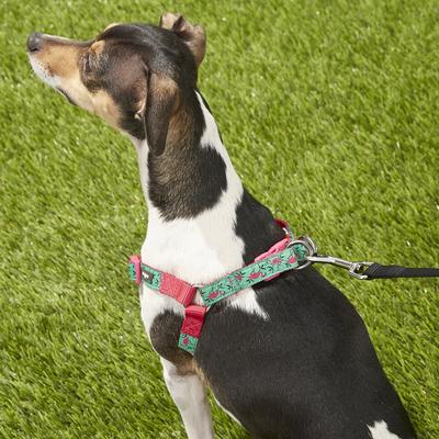 Show full view: Blueberry Pet Spring Prints Nylon Step In Back Clip Dog Harness, Pink Flamingo on Light Emerald, Small: 16.5 to 21.5-in chest slide 6 of 9