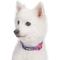 Show in main carousel: Blueberry Pet Spring Scent Inspired Rose Print Adjustable Dog Collar, Large: 18 to 26-in neck slide 2 of 7