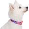 Show in main carousel: Blueberry Pet Spring Scent Inspired Rose Print Adjustable Dog Collar, Medium: 14.5 to 20-in neck slide 3 of 7