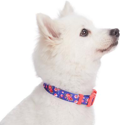 Show full view: Blueberry Pet Spring Scent Inspired Rose Print Adjustable Dog Collar, Medium: 14.5 to 20-in neck slide 3 of 7