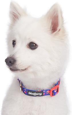 Show full view: Blueberry Pet Spring Scent Inspired Rose Print Adjustable Dog Collar, X-Small: 8 to 11-in neck slide 3 of 8