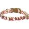 Show in main carousel: Blueberry Pet Spring Scent Rose Floral Personalized ID Dog Collar, Ivory, Small: 12 to 16-in neck, 5/8-in wide slide 1 of 6
