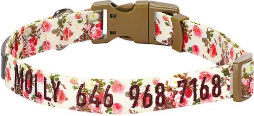 Show full view: Blueberry Pet Spring Scent Rose Floral Personalized ID Dog Collar, Ivory, Small: 12 to 16-in neck, 5/8-in wide slide 1 of 6