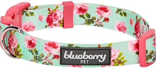 Show full view: Blueberry Pet Spring Scent Rose Floral Personalized ID Dog Collar, Turquoise, Large: 18 to 26-in neck, 1-in wide slide 2 of 6