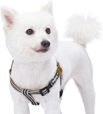 Show full view: Blueberry Pet Step In 3M Reflective Multi Color Stripe Padded Dog Harness, Olive/Blue/Gray, Medium: 20 to 26-in chest slide 2 of 5