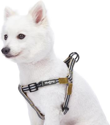 Show full view: Blueberry Pet Step In 3M Reflective Multi Color Stripe Padded Dog Harness, Olive/Blue/Gray, Small: 16.5 to 21.5-in chest slide 1 of 5