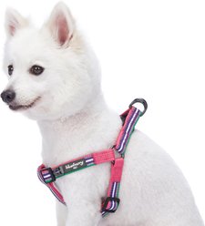 Blueberry Pet Step In 3M Reflective Multi Color Stripe Padded Dog Harness, Pink/Emerald/Orchid, Large: 26 to 39-in chest