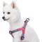 Show in main carousel: Blueberry Pet Step In 3M Reflective Multi Color Stripe Padded Dog Harness, Pink/Emerald/Orchid, Large: 26 to 39-in chest slide 1 of 5