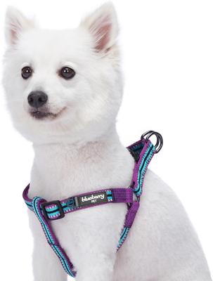 Show full view: Blueberry Pet Step In 3M Reflective Multi Color Stripe Padded Dog Harness, Violet/Celeste, Medium: 20 to 26-in chest slide 1 of 5
