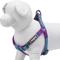 Show in main carousel: Blueberry Pet Step In 3M Reflective Multi Color Stripe Padded Dog Harness, Violet/Celeste, Medium: 20 to 26-in chest slide 3 of 5