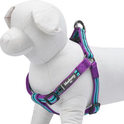 Show full view: Blueberry Pet Step In 3M Reflective Multi Color Stripe Padded Dog Harness, Violet/Celeste, Medium: 20 to 26-in chest slide 3 of 5