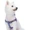 Show in main carousel: Blueberry Pet Step In 3M Reflective Multi Color Stripe Padded Dog Harness, Violet/Celeste, Medium: 20 to 26-in chest slide 2 of 5