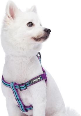 Show full view: Blueberry Pet Step In 3M Reflective Multi Color Stripe Padded Dog Harness, Violet/Celeste, Small: 16.5 to 21.5-in chest slide 2 of 5