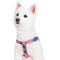 Show in main carousel: Blueberry Pet Step In American Flag Dog Harness, USA Flag, Small: 16.5 to 21.5-in chest slide 3 of 6