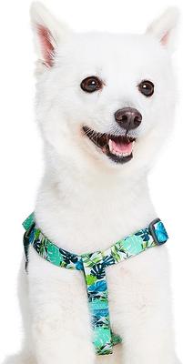 Show full view: Blueberry Pet Step In Bahamas Vacation Dog Harness, Bahamas Vacation, Medium: 20 to 26-in chest slide 2 of 5