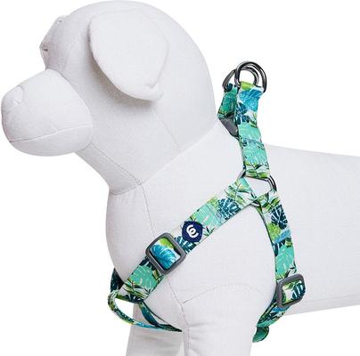 Show full view: Blueberry Pet Step In Bahamas Vacation Dog Harness, Bahamas Vacation, Small: 16.5 to 21.5-in chest slide 3 of 5