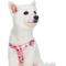 Show in main carousel: Blueberry Pet Step In Camouflage Dog Harness, Pink Camo, Large: 26 to 39-in chest slide 2 of 5