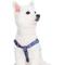 Show in main carousel: Blueberry Pet Step In Rainbow Polka Dots Dog Harness, Rainbow Polka Dots, Medium: 20 to 26-in chest slide 3 of 6