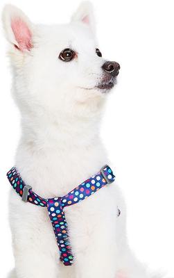 Show full view: Blueberry Pet Step In Rainbow Polka Dots Dog Harness, Rainbow Polka Dots, Small: 16.5 to 21.5-in chest slide 2 of 5
