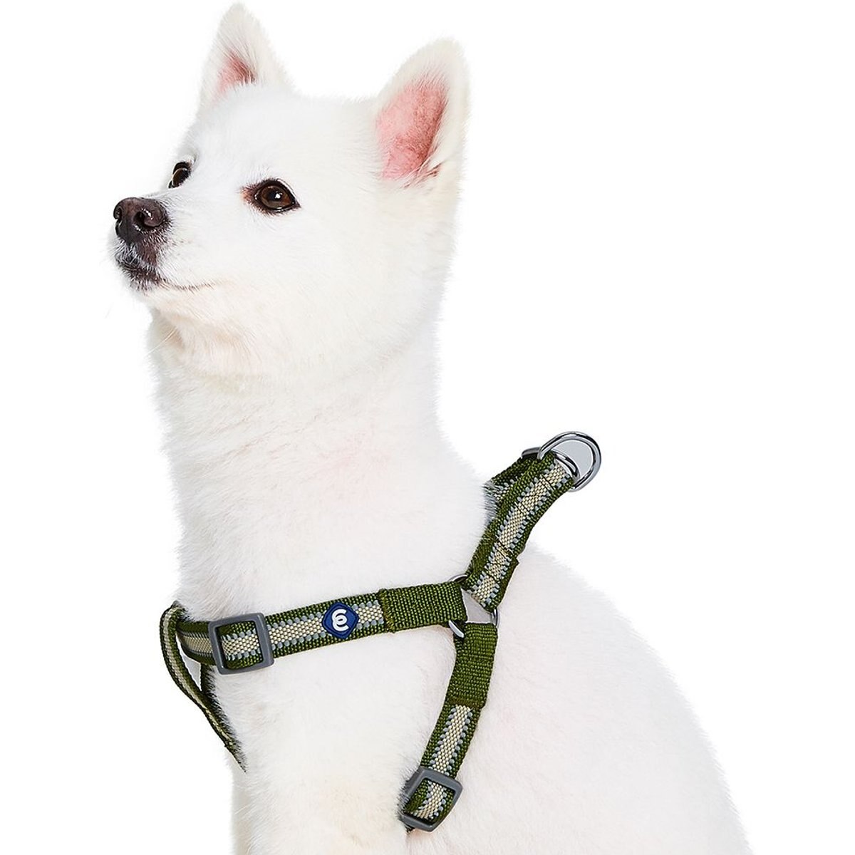 Blueberry Pet Step In Reflective Back to Basics Dog Harness, Dark Olive, Large: 26 to 39-in chest