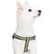 Show in main carousel: Blueberry Pet Step In Reflective Back to Basics Dog Harness, Dark Olive, Large: 26 to 39-in chest slide 3 of 6