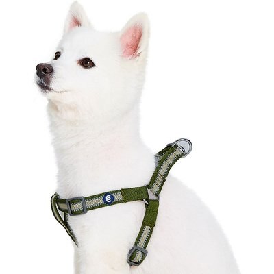 Blueberry Pet Blueberry Pet Step In Reflective Back to Basics Dog Harness, Dark Olive, Small: 16.5 to 21.5-in chest