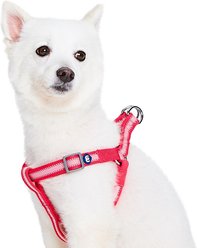 Blueberry Pet Step In Reflective Back to Basics Dog Harness, French Pink, Large: 26 to 39-in chest
