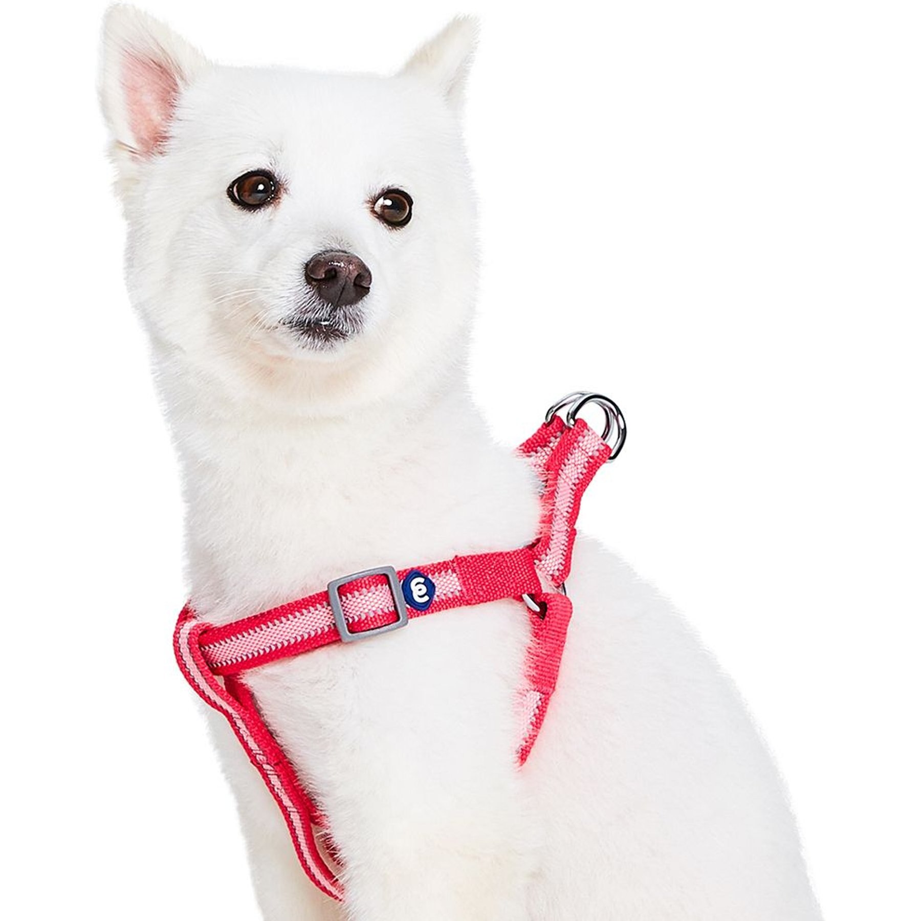 Blueberry Pet Step In Reflective Back to Basics Dog Harness, French Pink, Large: 26 to 39-in chest