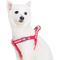 Show in main carousel: Blueberry Pet Step In Reflective Back to Basics Dog Harness, French Pink, Large: 26 to 39-in chest slide 1 of 6