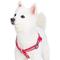 Show in main carousel: Blueberry Pet Step In Reflective Back to Basics Dog Harness, French Pink, Large: 26 to 39-in chest slide 3 of 6