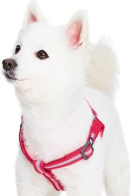 Show full view: Blueberry Pet Step In Reflective Back to Basics Dog Harness, French Pink, Large: 26 to 39-in chest slide 3 of 6