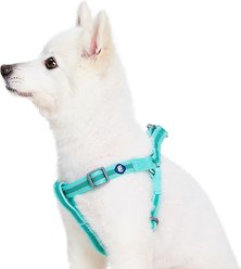 Blueberry Pet Step In Reflective Back to Basics Dog Harness, Minty Green, Large: 26 to 39-in chest