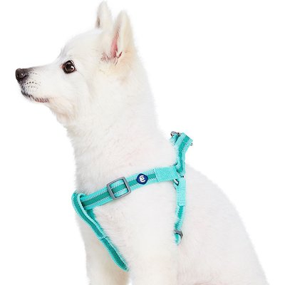 Blueberry Pet Blueberry Pet Step In Reflective Back to Basics Dog Harness, Minty Green, Large: 26 to 39-in chest
