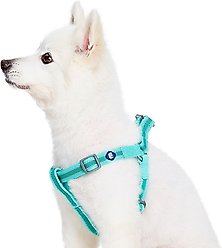 Blueberry Pet Step In Reflective Back to Basics Dog Harness, Minty Green, Medium: 20 to 26-in chest